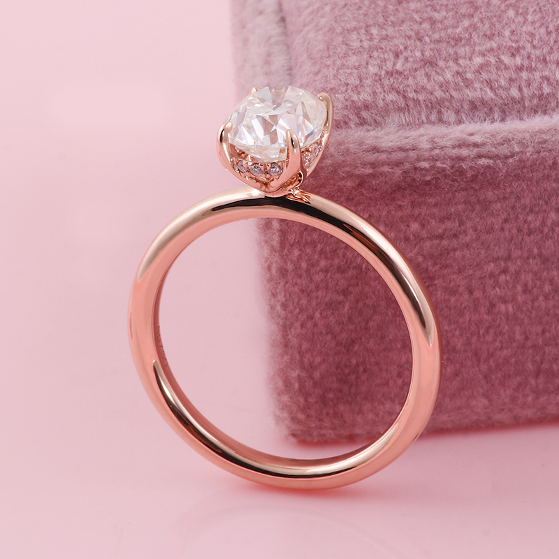 Provence 925 Silver Hidden Hal - Moissanite Ring review and price